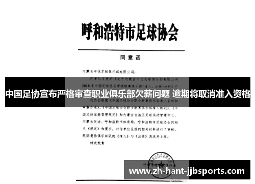 中国足协宣布严格审查职业俱乐部欠薪问题 逾期将取消准入资格 中国足协宣布严格审查职业俱乐部欠薪问题 逾期将取消准入资格